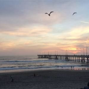 Meet your Posher, Gisela